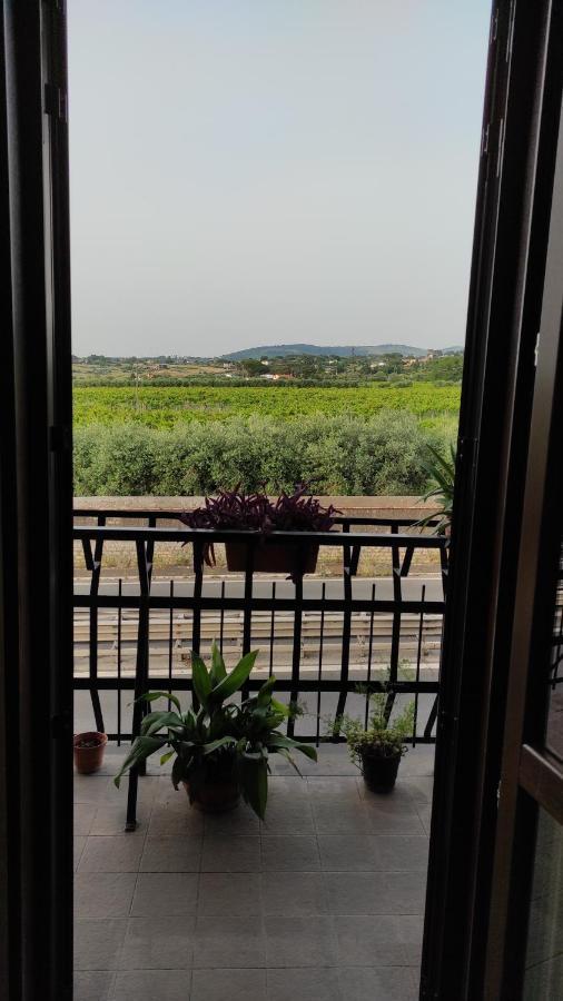 Wintage Bed and Breakfast Marino Εξωτερικό φωτογραφία